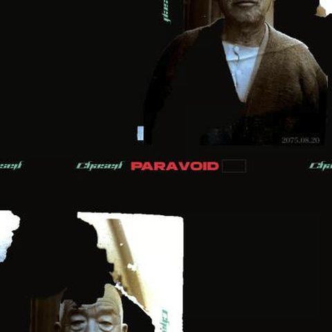 1st.FullAlbum [ PARAVOID ]